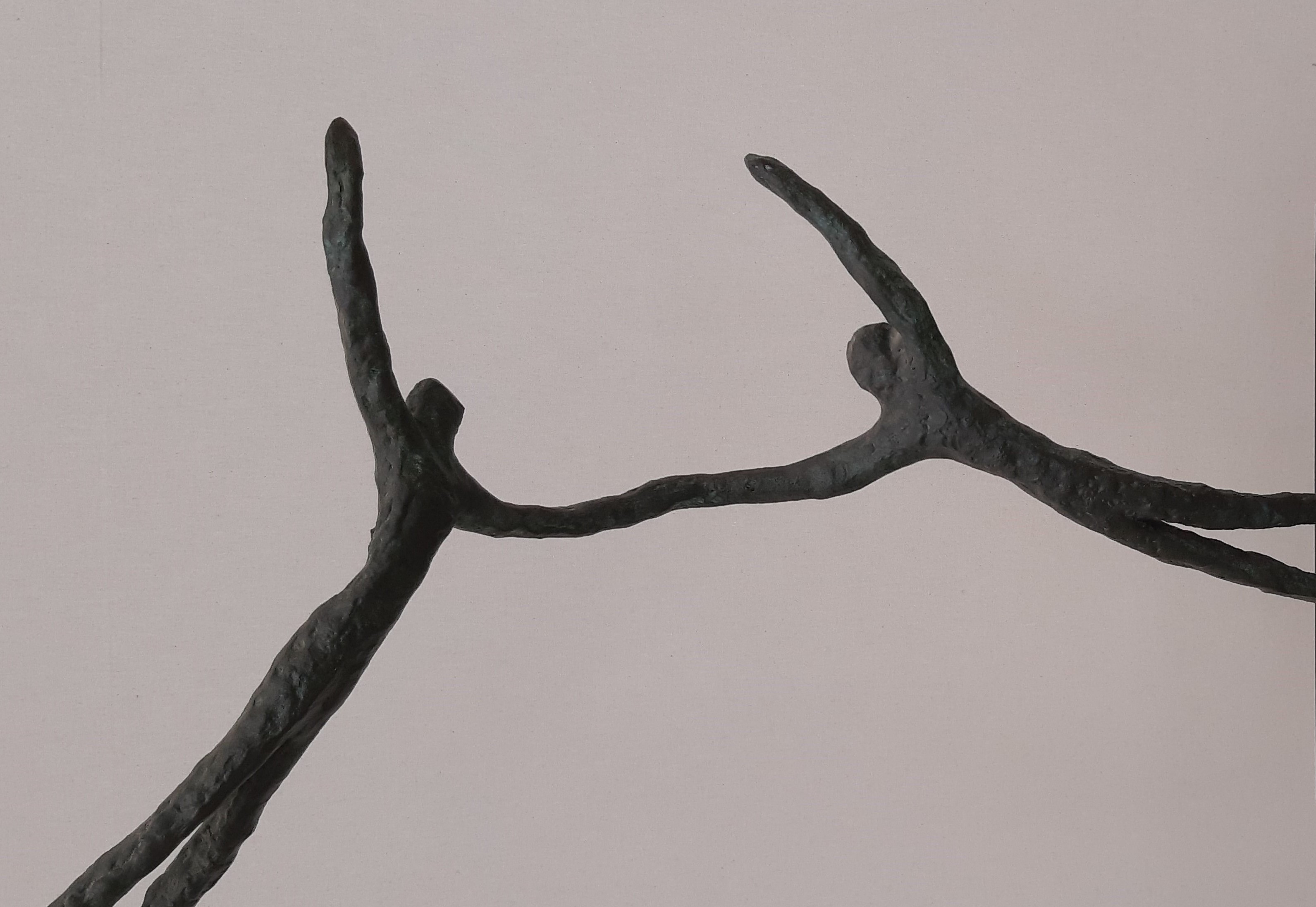 des solutions dans une mer de questionnements